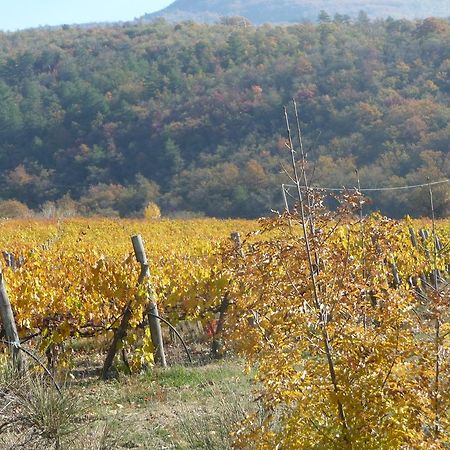 Podere Poggio Mendico Arezzo Dış mekan fotoğraf