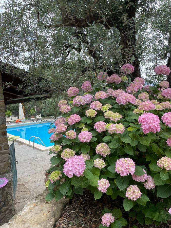 Podere Poggio Mendico Arezzo Dış mekan fotoğraf