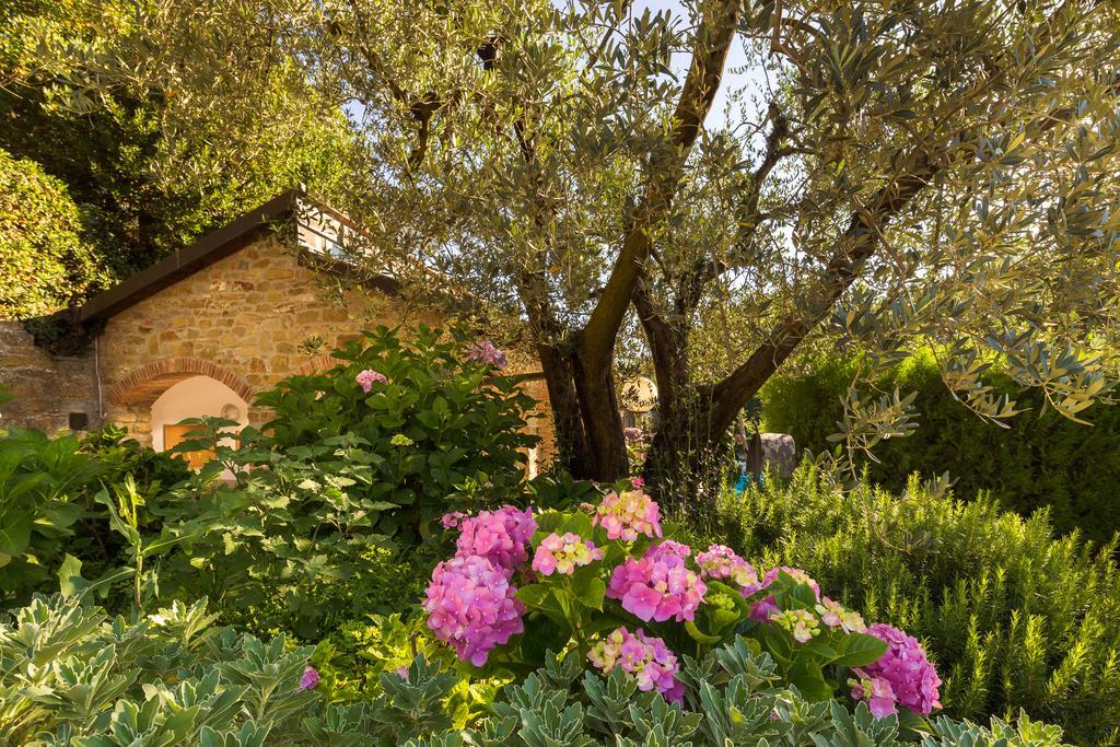 Podere Poggio Mendico Arezzo Dış mekan fotoğraf