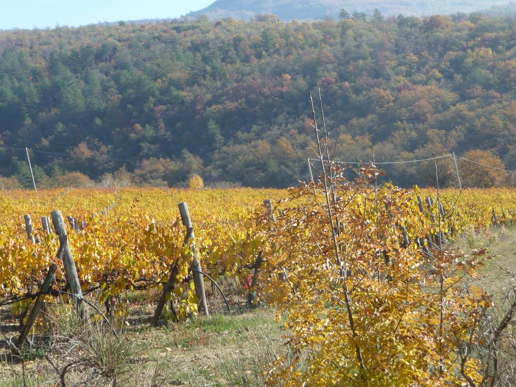Podere Poggio Mendico Arezzo Dış mekan fotoğraf