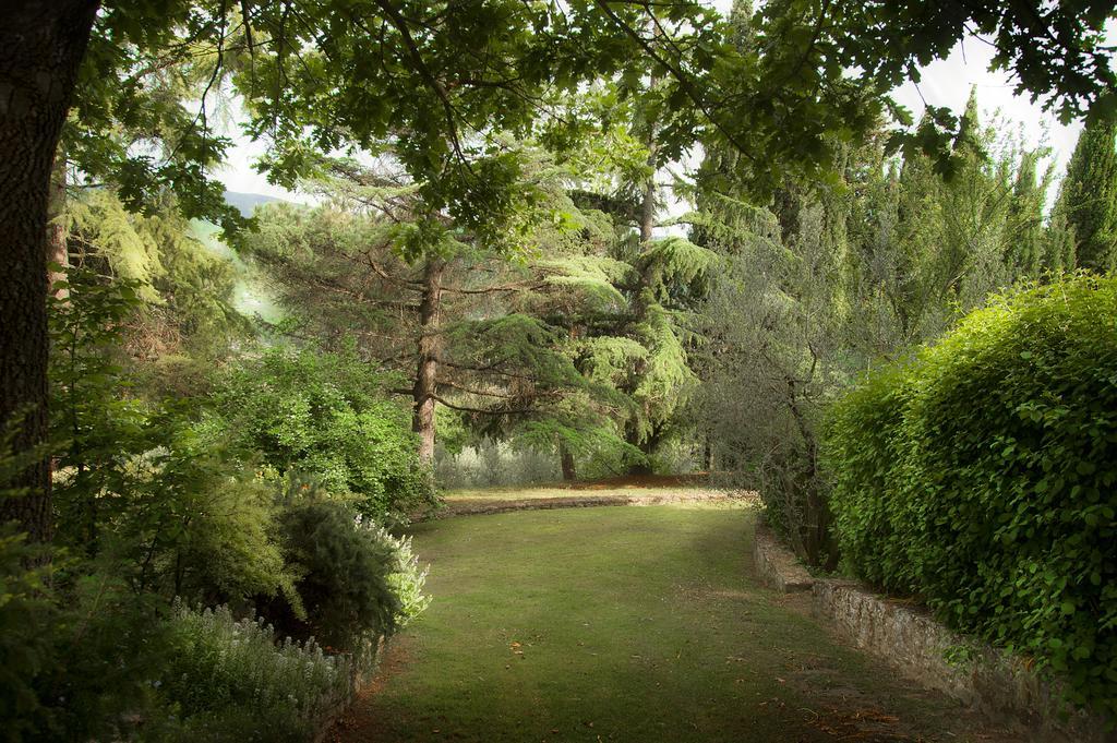 Podere Poggio Mendico Arezzo Dış mekan fotoğraf