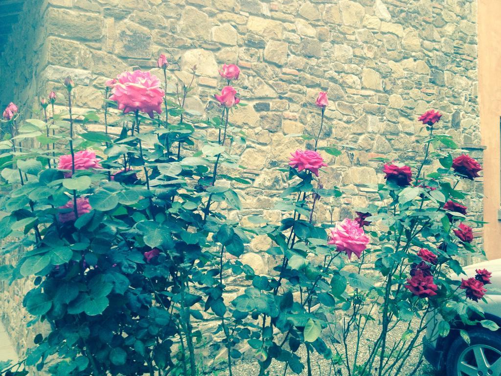 Podere Poggio Mendico Arezzo Dış mekan fotoğraf